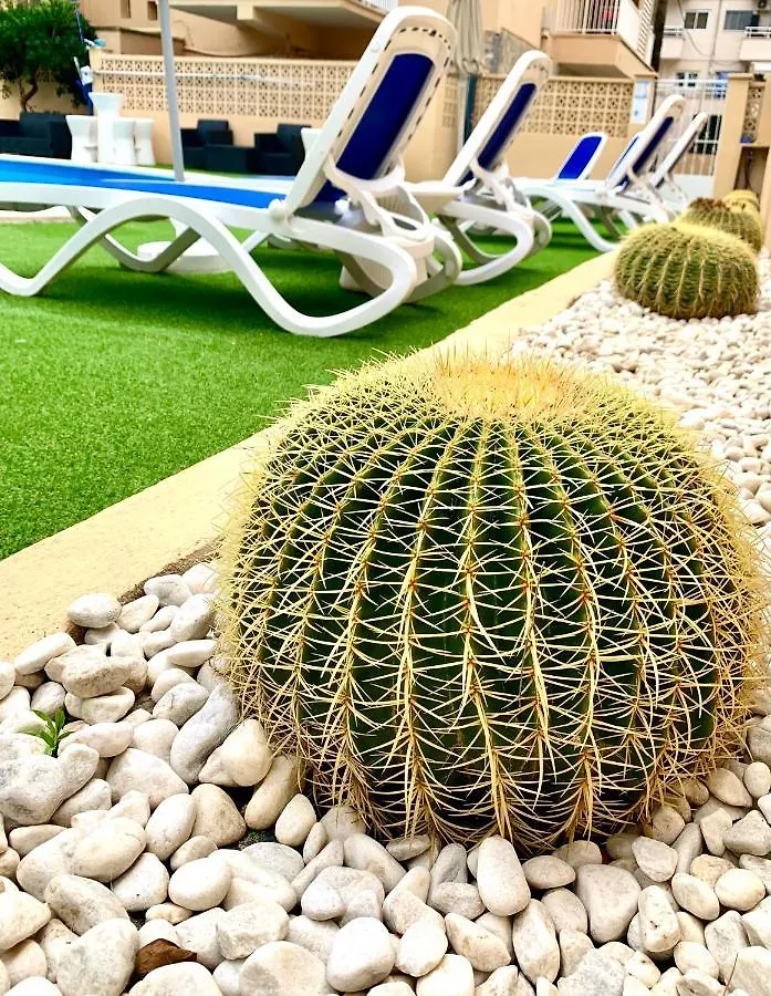 Apartamentos Las Palmeras Palmanova